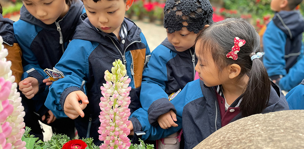 3月春季实践节